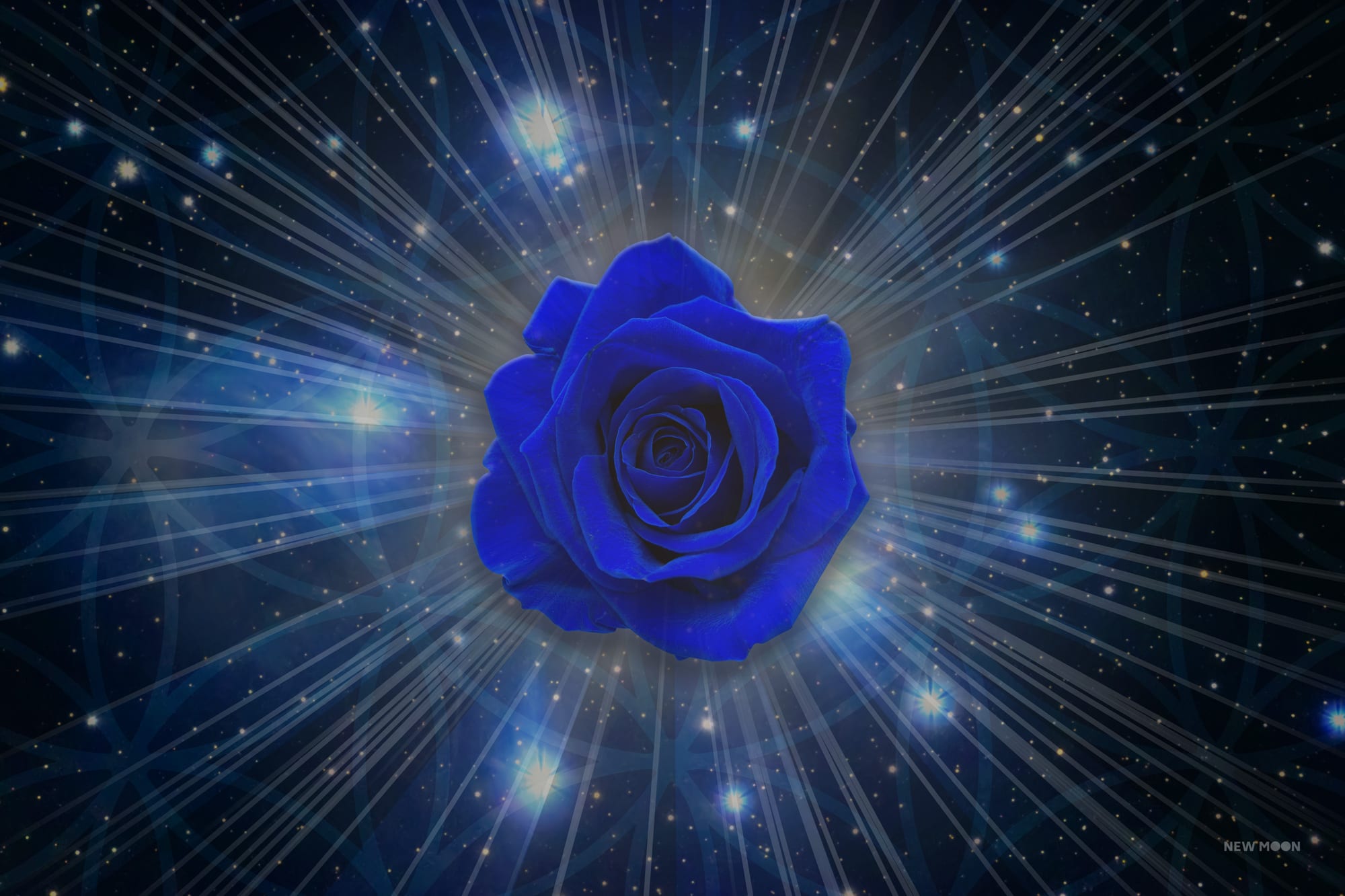 The Blue Rose Pleiadean Healing Session with Tim Whild Tim